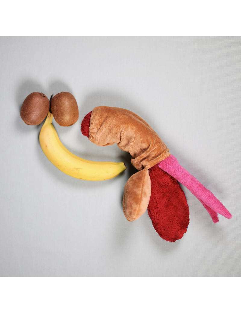 peluche pénis anatomique clitowitch